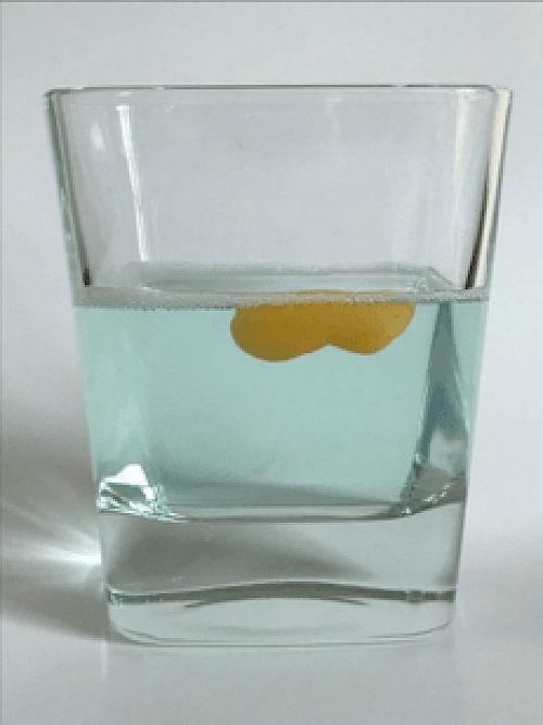 Bio-Jeth avec 3 grammes de jus de cuisson